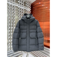 Zegna Down Jackets